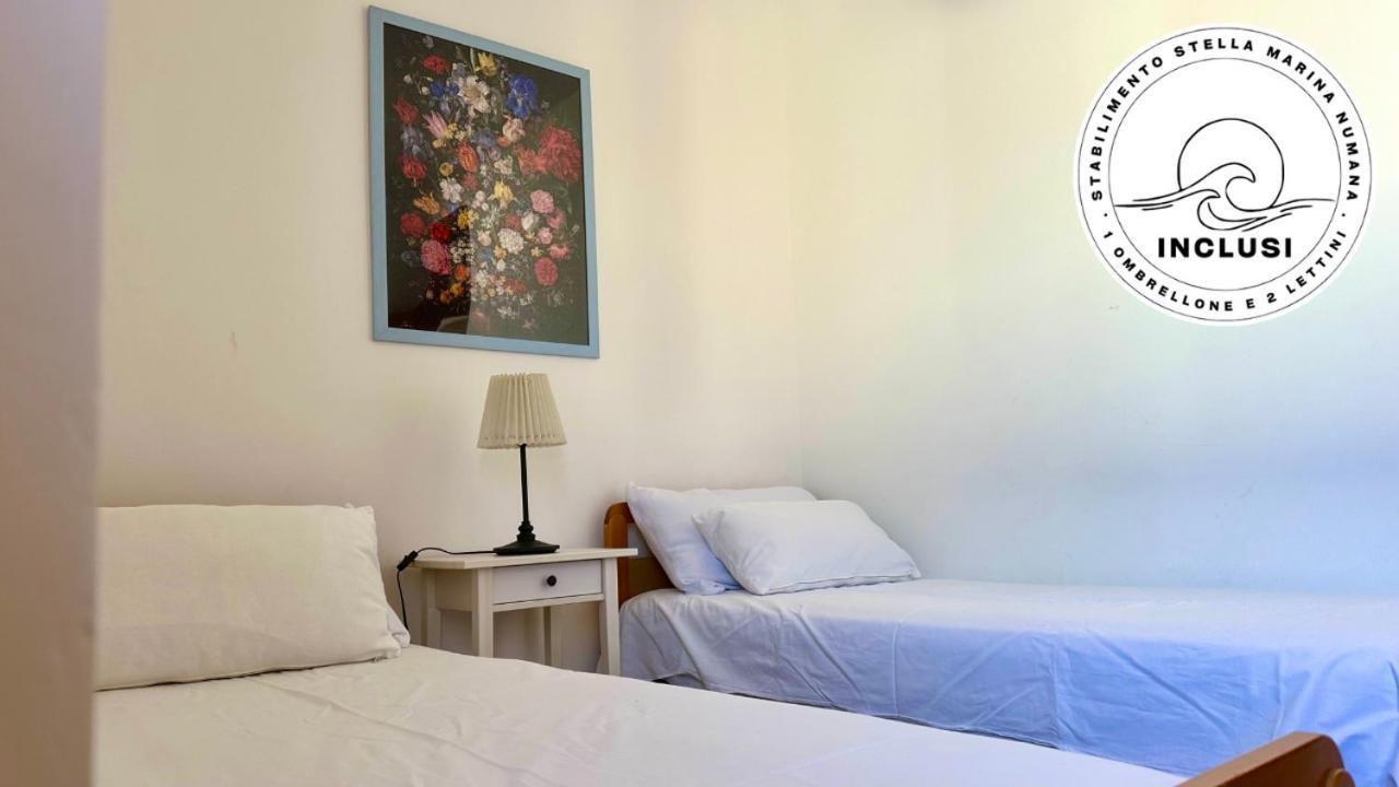 Viva3 - Numana, Ampio Trilocale In Villa Con Piscina エクステリア 写真