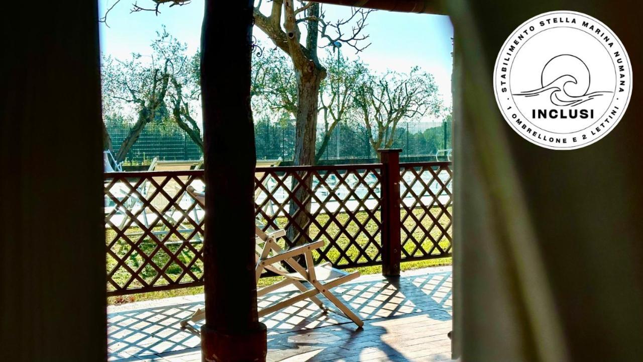 Viva3 - Numana, Ampio Trilocale In Villa Con Piscina エクステリア 写真